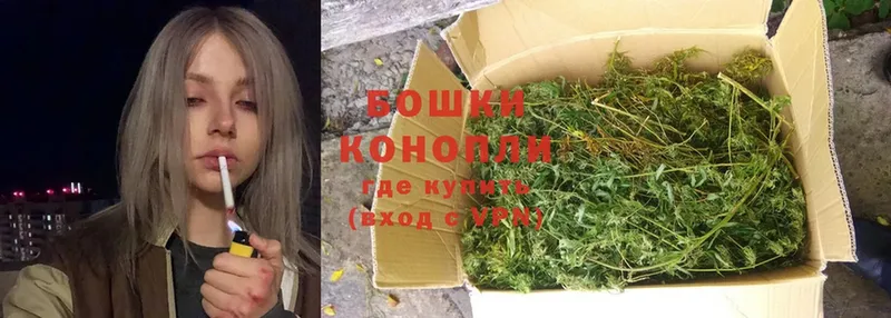 Канабис OG Kush  купить наркоту  Ессентуки 